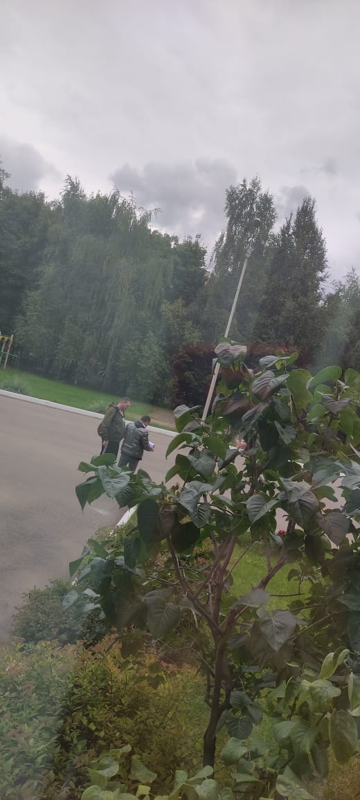 Нарушения в городском округе Люберцы