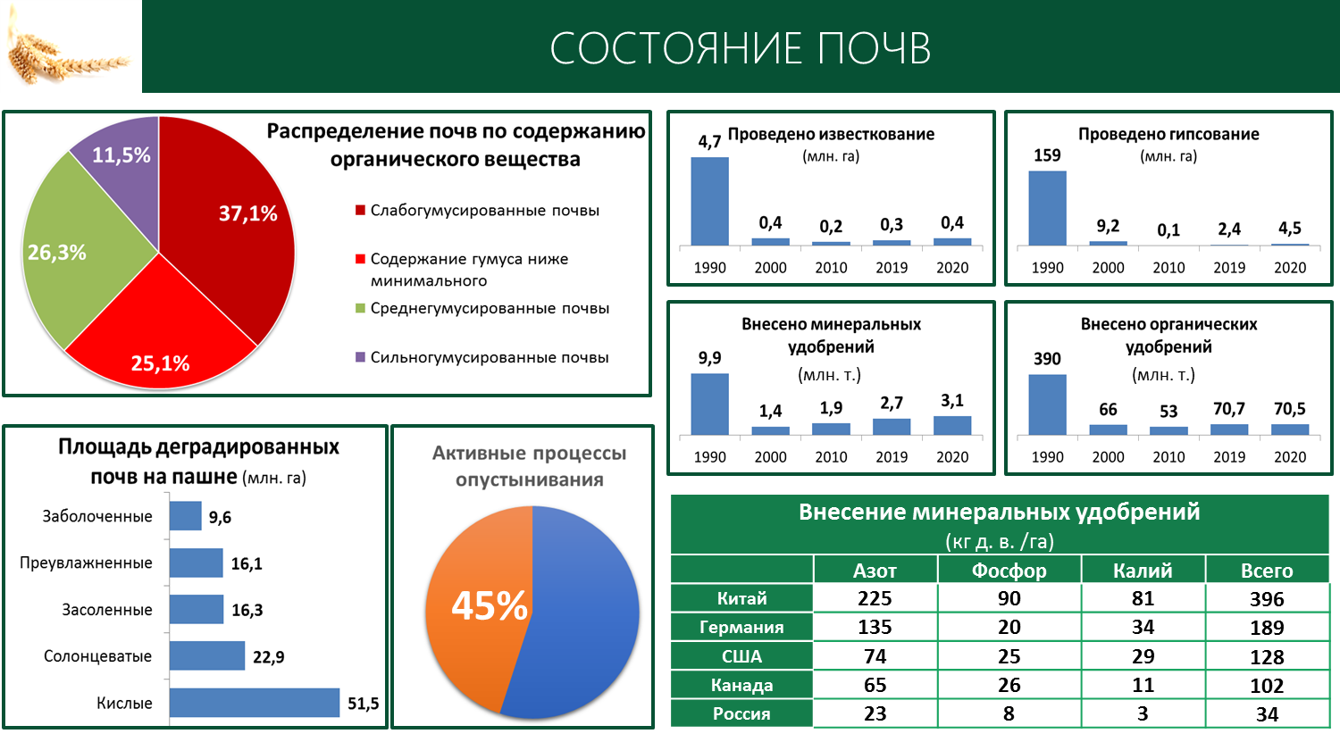 Выступление В.И. Кашина на Пленарном заседании