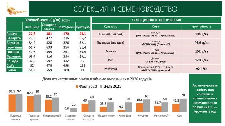 В.И. Кашин: Программу кадрового обеспечения АПК – в жизнь!
