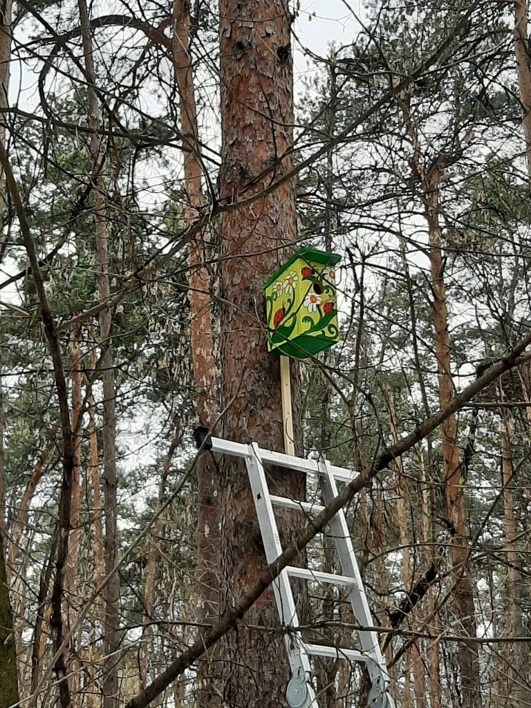 Комсомольцы и пионеры «Добрые сердца»
