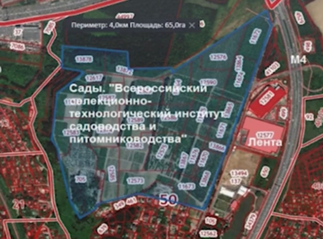 Это и есть - новая жизнь?
