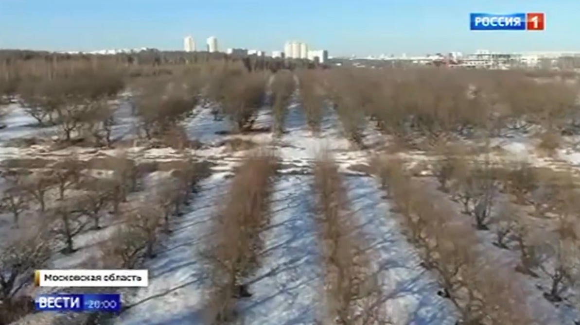 Это и есть - новая жизнь?