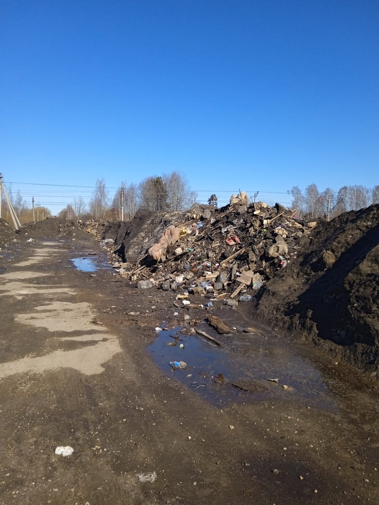 В Богородском городском округе заработал «Экологический патруль» Ногинского ГК КПРФ