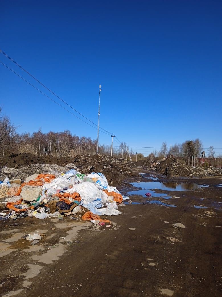 В Богородском городском округе заработал «Экологический патруль» Ногинского ГК КПРФ