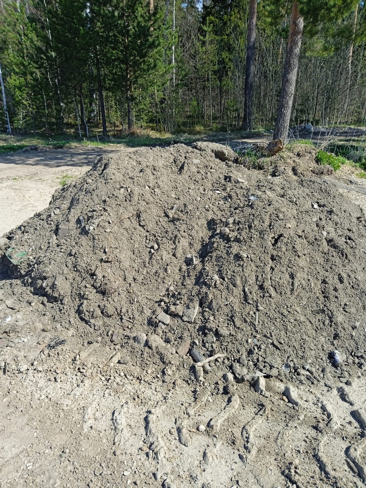 Экологический патруль Ногинска в действии