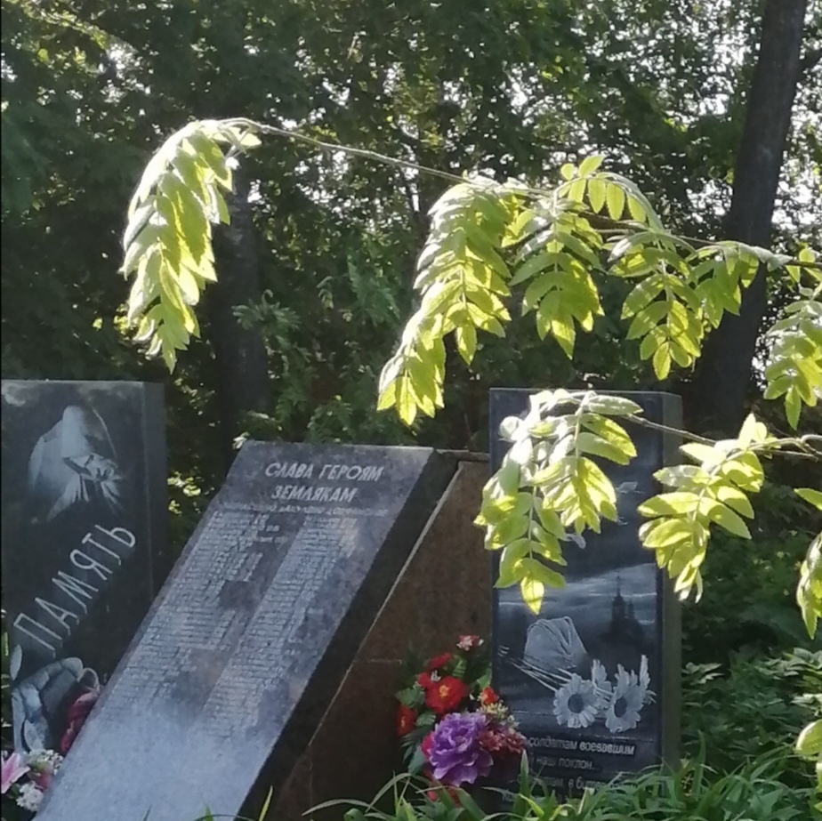 Пионеры из д. Монасеино
