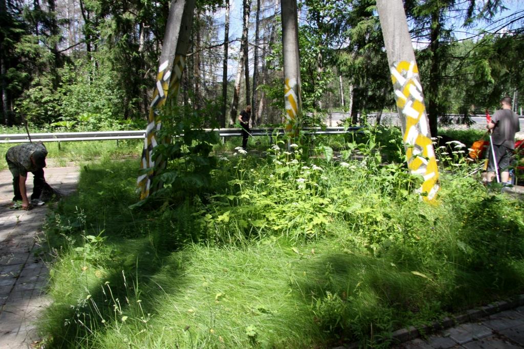 Субботник на партизанской базе «Смерть фашизму»