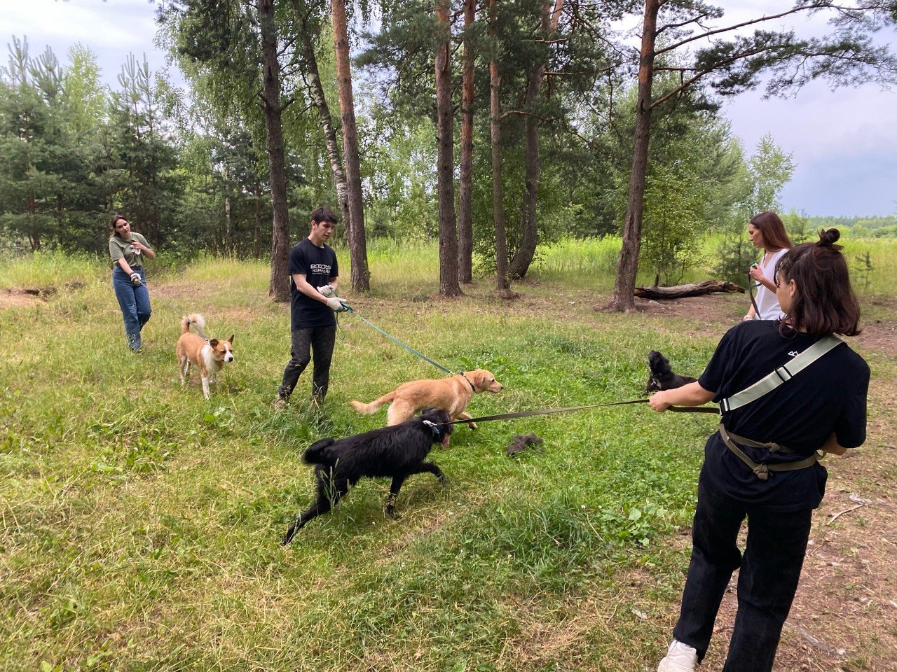 К братьям нашим меньшим!