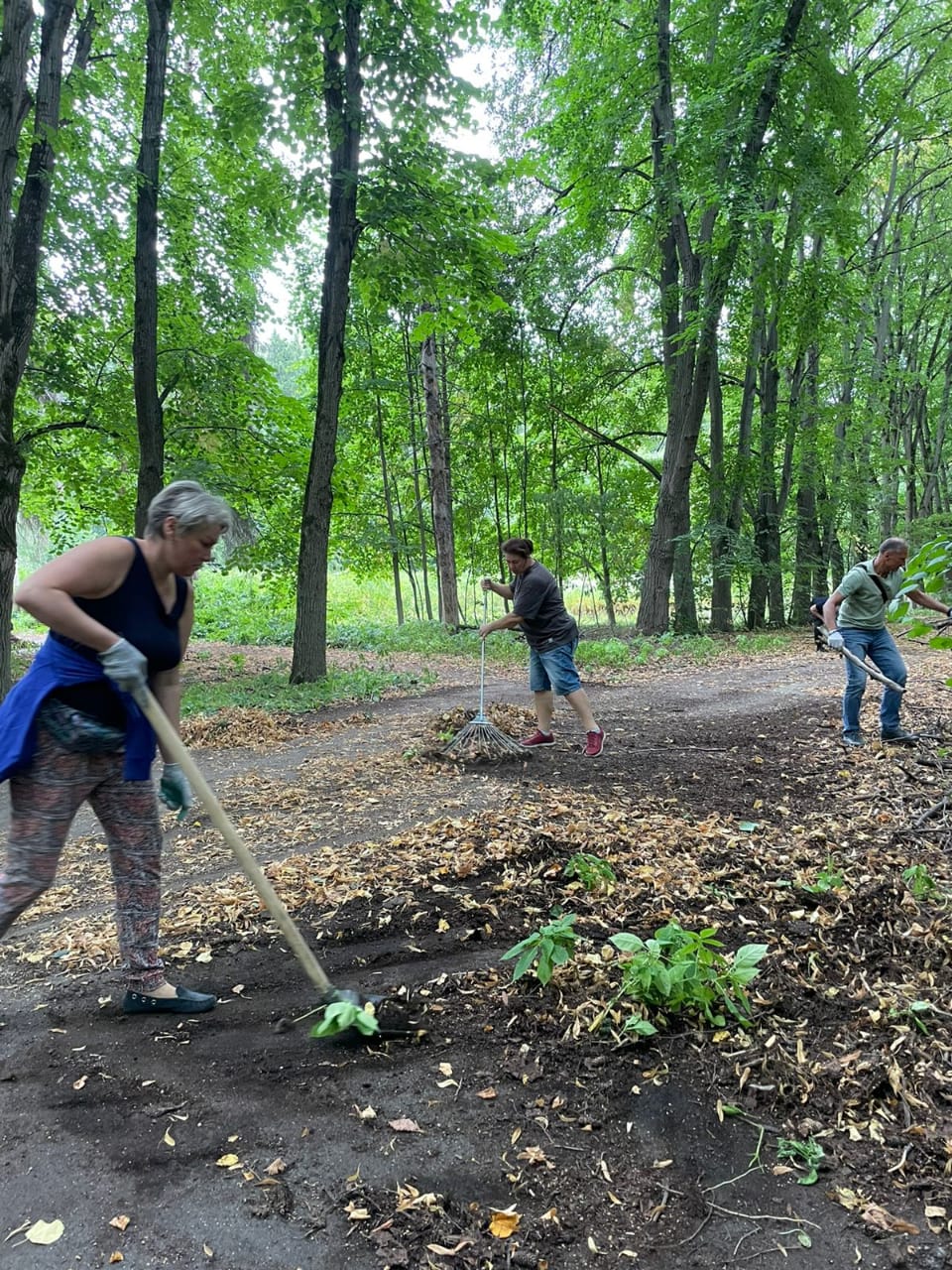 «Культурный субботник» в Мытищах