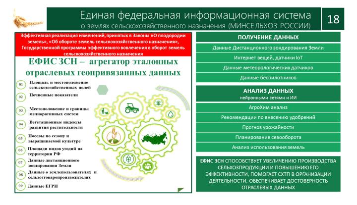 В.И. Кашин принял участие в заседании Рабочей группы Госсовета по сельскому хозяйству
