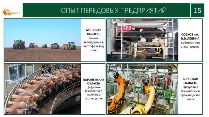 В.И. Кашин принял участие в заседании Рабочей группы Госсовета по сельскому хозяйству