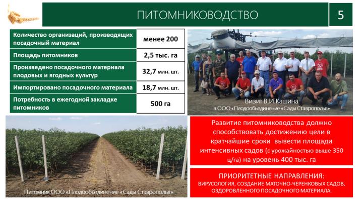 Доклад В.И. Кашина на XII Международном форуме «Дни сада в Бирюлево»