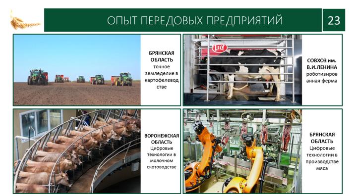 Доклад В.И. Кашина на XII Международном форуме «Дни сада в Бирюлево»