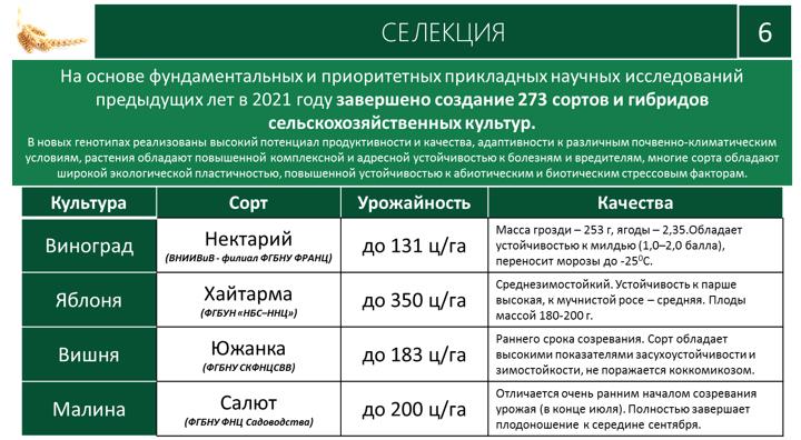 Доклад В.И. Кашина на XII Международном форуме «Дни сада в Бирюлево»