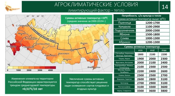 Доклад В.И. Кашина на XII Международном форуме «Дни сада в Бирюлево»