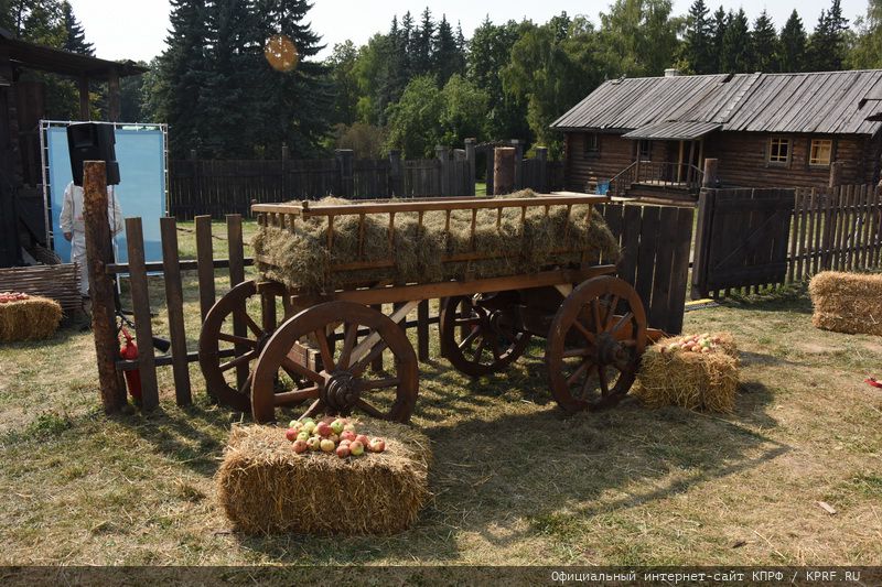 «Дорогой пчёл»