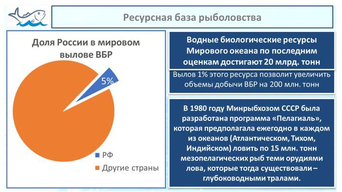 В.И. Кашин: Государственные интересы превыше всего