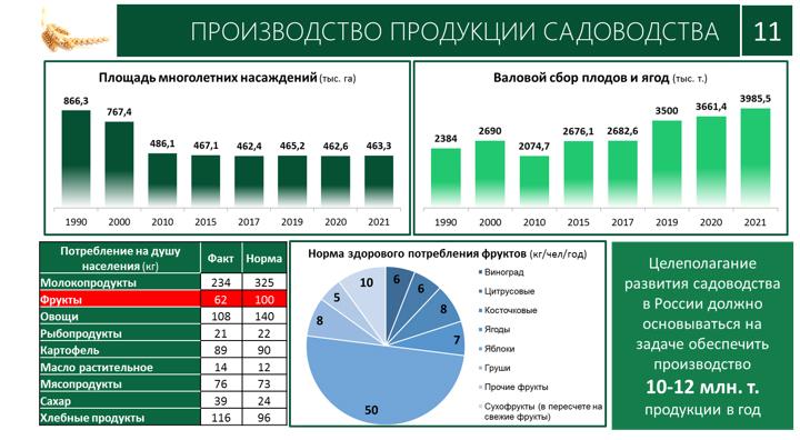 В.И. Кашин принял участие в конференции по совершенствованию деятельности отделения сельскохозяйственных наук РАН