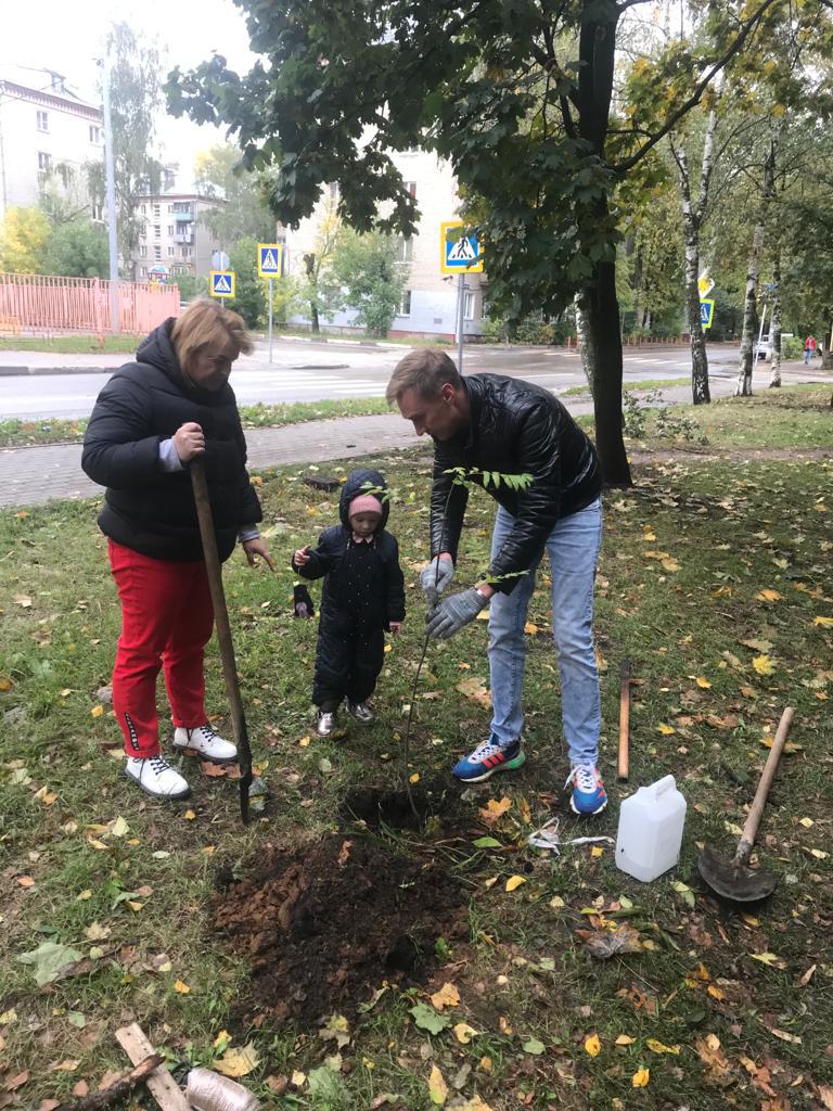 Рябиновый сквер в Королёве продолжает преображаться