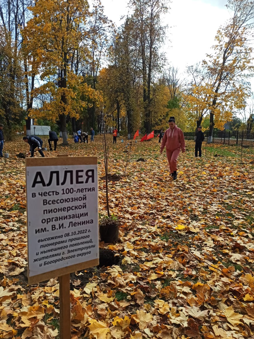 Аллея Пионеров в Электроуглях