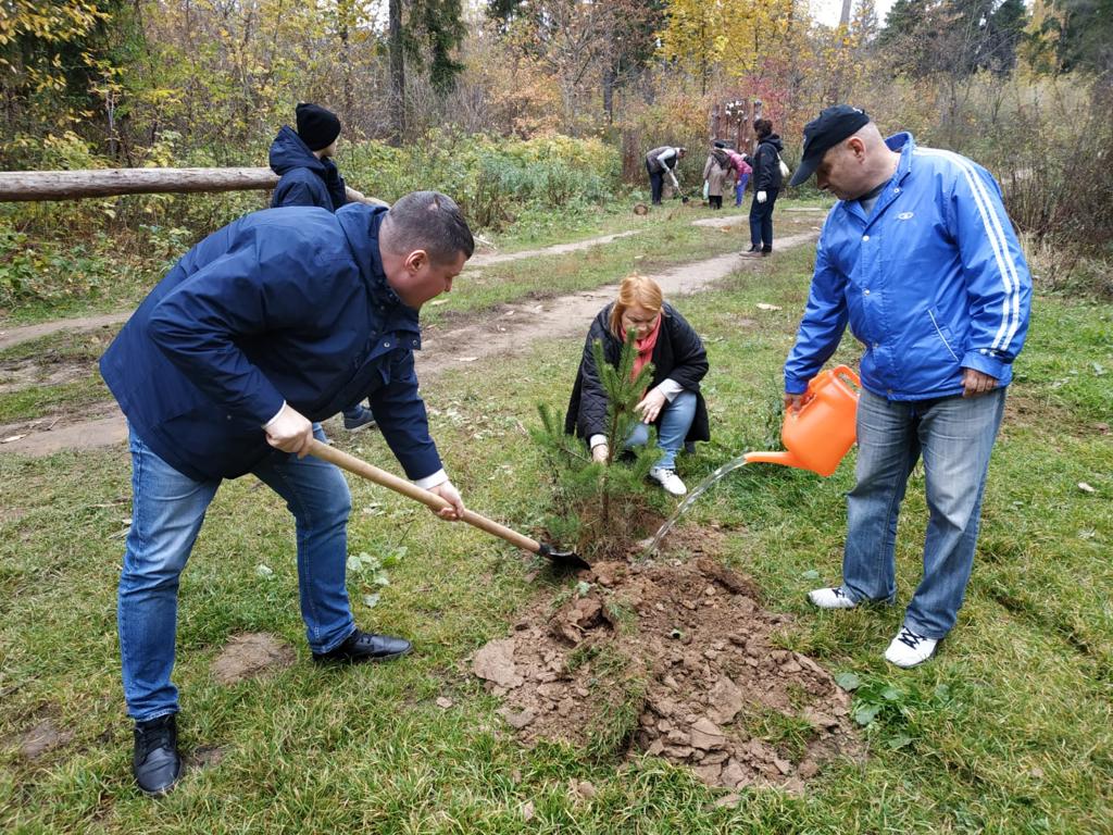 В Королёве коммунисты посадили саженцы сосен в верхнем Комитетском лесу