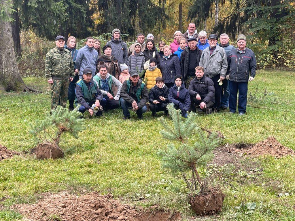 В Королёве коммунисты посадили саженцы сосен в верхнем Комитетском лесу
