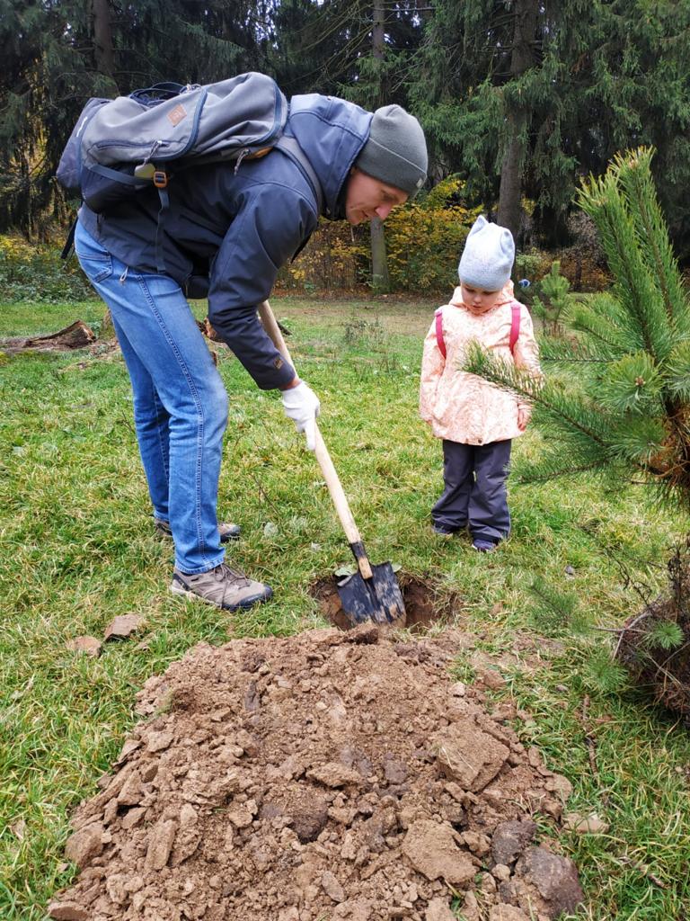 В Королёве коммунисты посадили саженцы сосен в верхнем Комитетском лесу