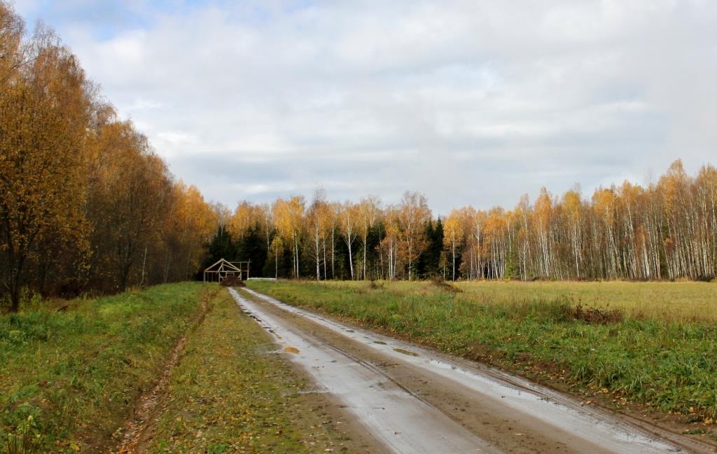 Леса и поля – народное ли это богатство?