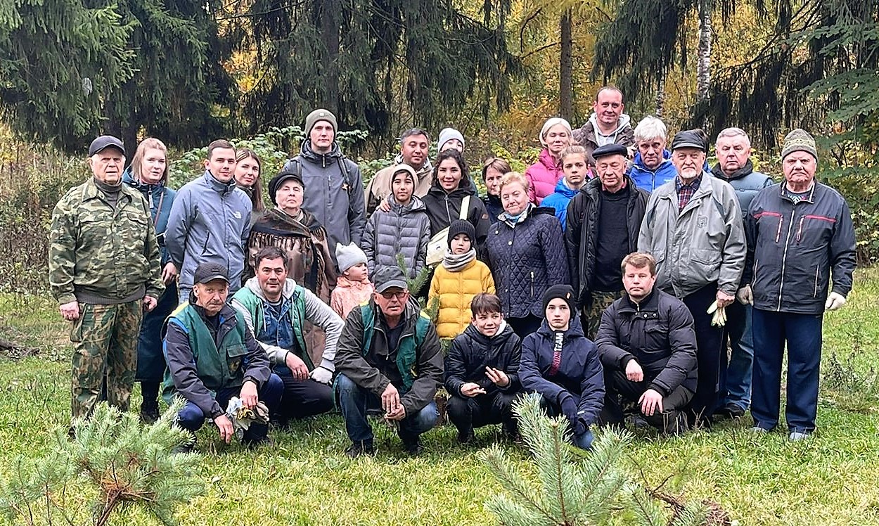 О статусе Комитетского леса