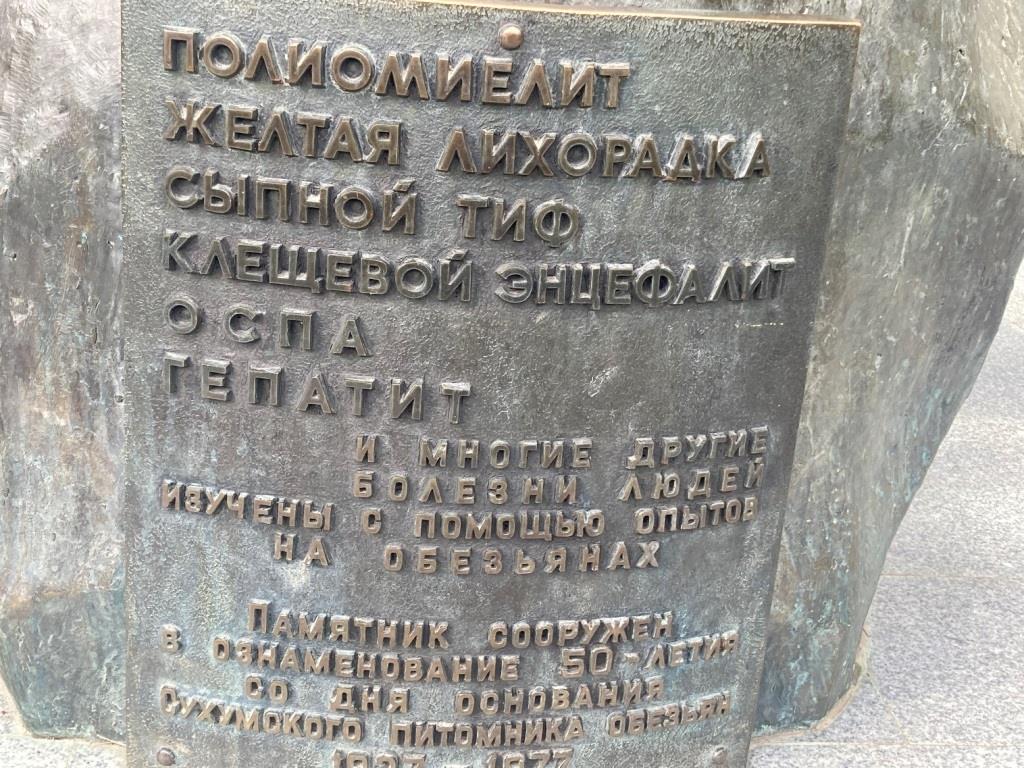 Абхазский променад, Back in the USSR не получилось…