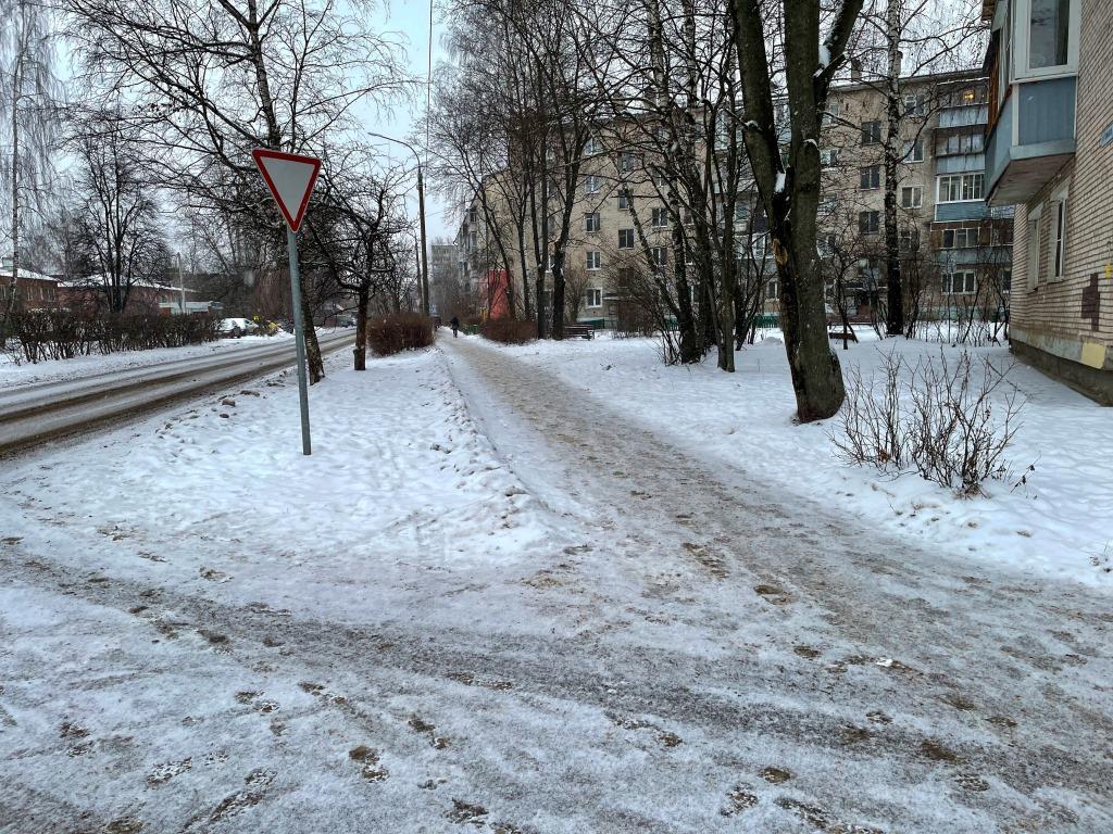 Обход территории г.о. Лосино-Петровский в период обильного снегопада депутатом Мособлдумы Марком Черемисовым
