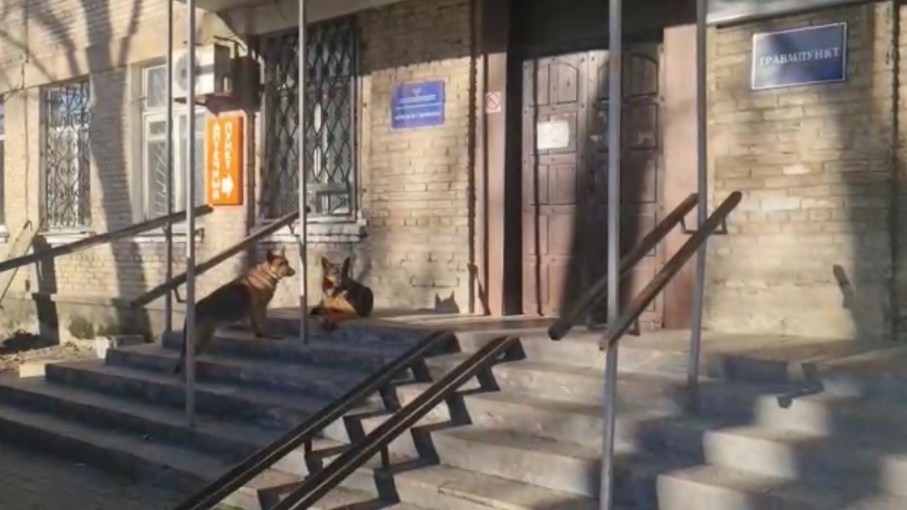 Серпуховские коммунисты и жители города отправили гуманитарный конвой на Донбасс