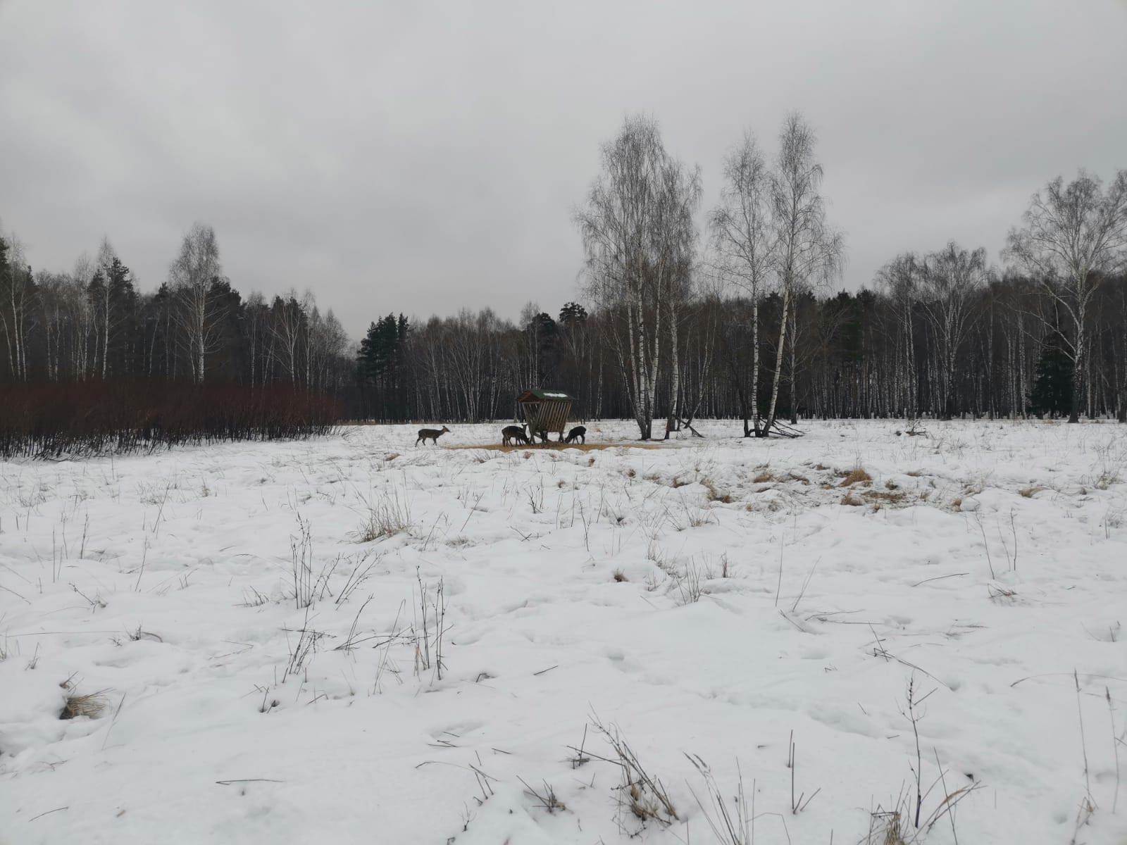 Руководитель фракции КПРФ в Мособлдуме Александр Наумов посетил с рабочим визитом биостанцию в Национальном парке «Лосиный Остров»