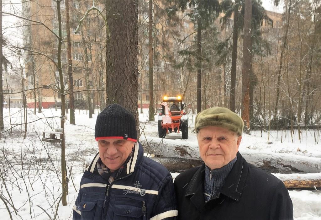 Как сохранить городские леса?