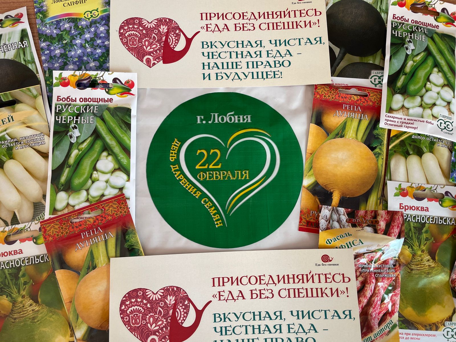 Образовательный проект «Огород на подоконнике» в Лобне