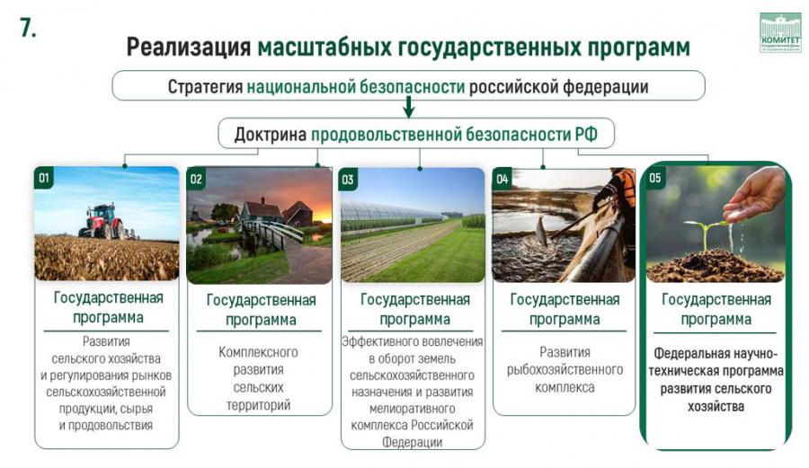 Доклад В.И. Кашина на тему: «О реализации Федеральной научно-технической программы развития сельского хозяйства»