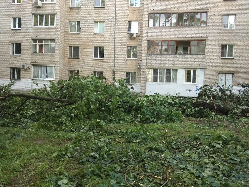 Приём граждан в г.о. Пушкинский