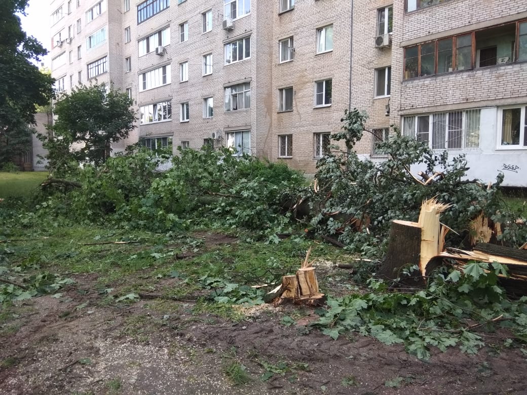 Приём граждан в г.о. Пушкинский