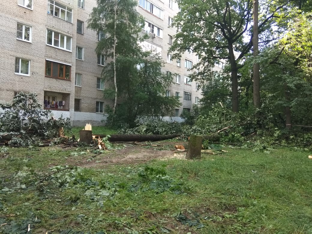 Приём граждан в г.о. Пушкинский