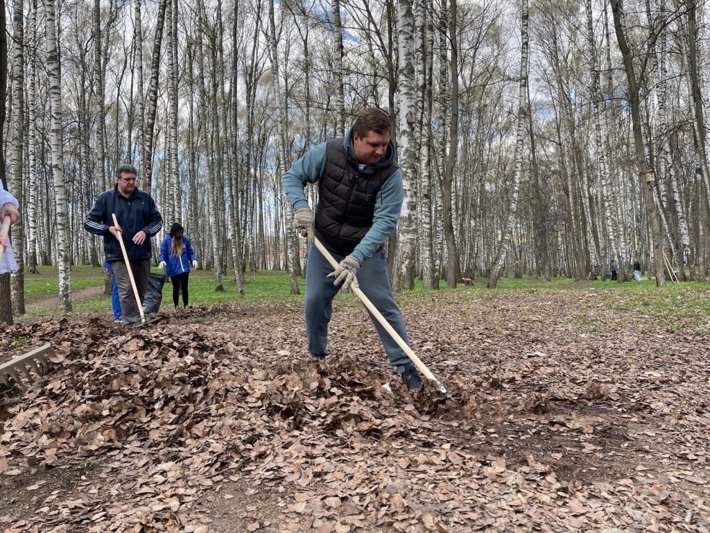 Субботник в Дмитрове