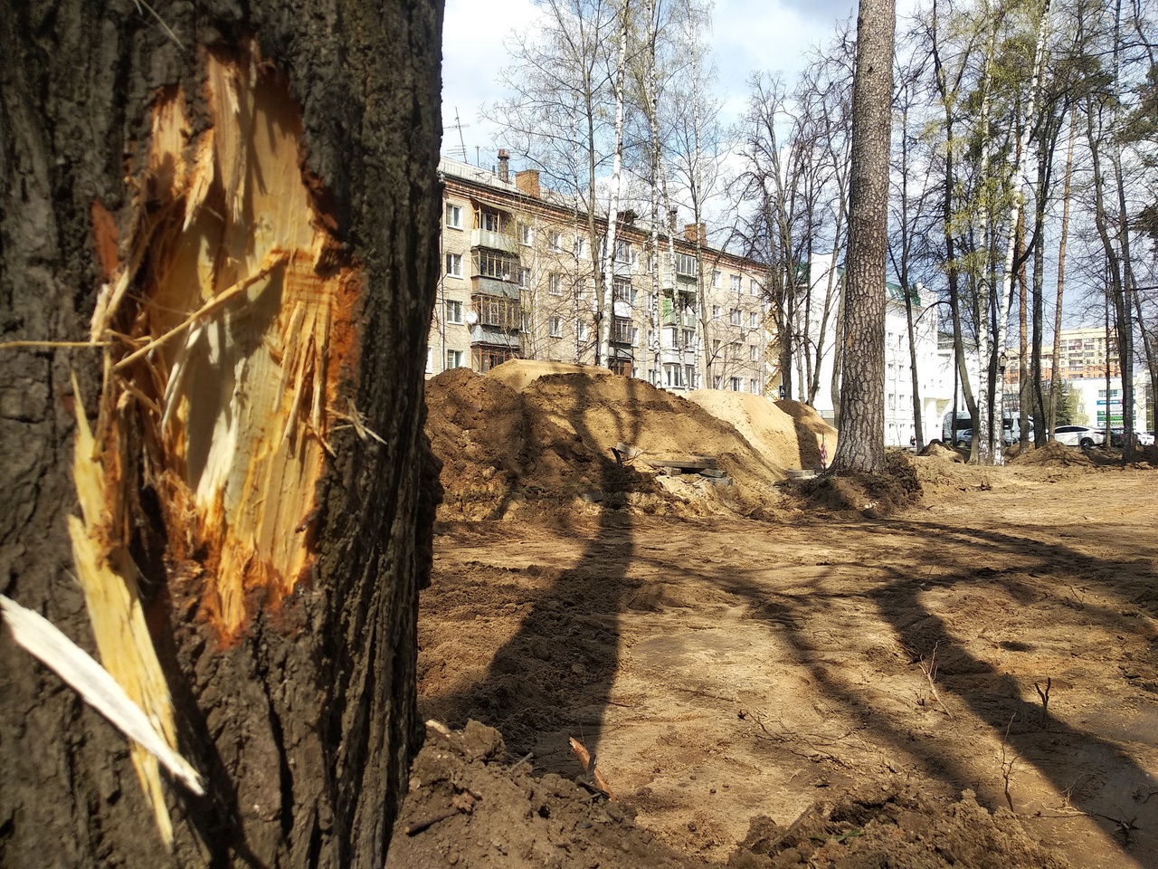 Благоустройство по-пушкински