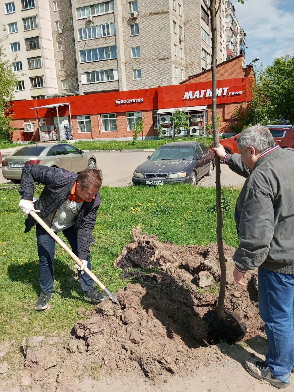 Лес Победы