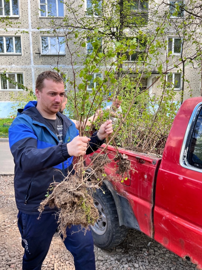 Дмитровские коммунисты помогли с озеленением