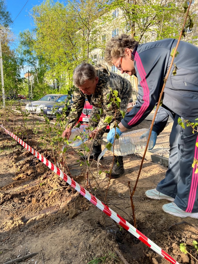 Дмитровские коммунисты помогли с озеленением