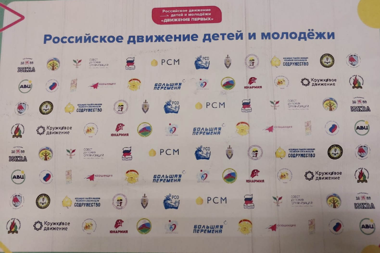 Детские организации в школе: возрождение системы воспитания детей или политтехнологии