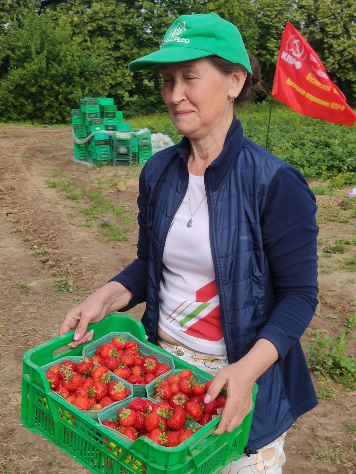 Жители Ногинска на сборе земляники