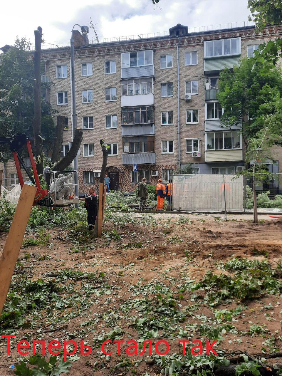 Варварская вырубка деревьев в сквере «Молодожёнов» продолжается