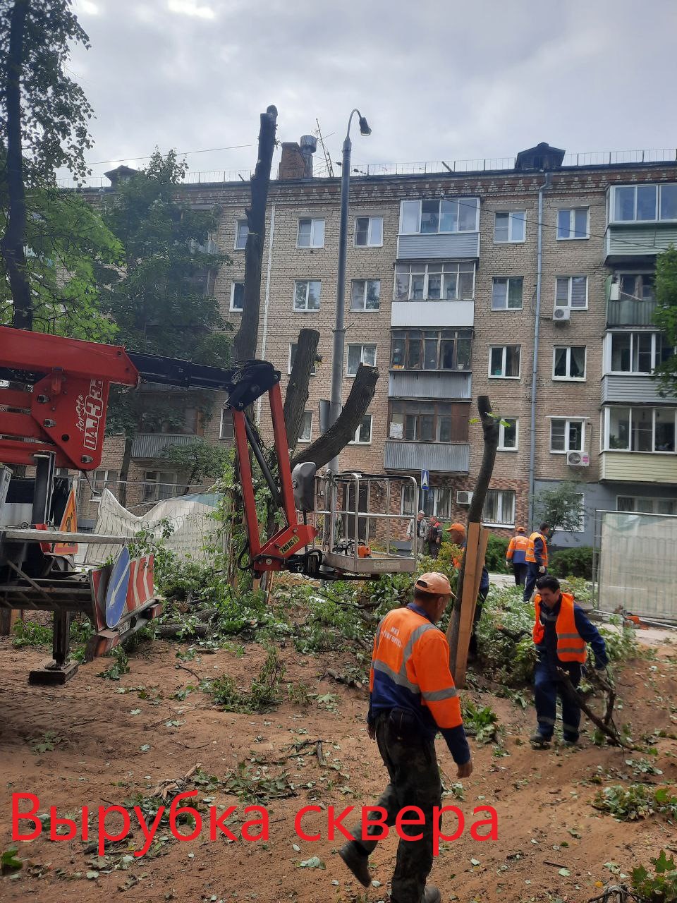 Варварская вырубка деревьев в сквере «Молодожёнов» продолжается