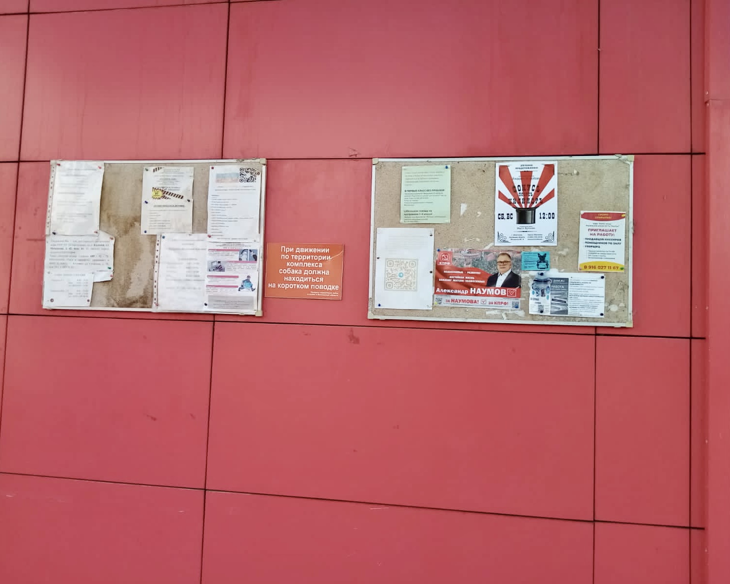 В Коломне агитационная кампания в самом разгаре