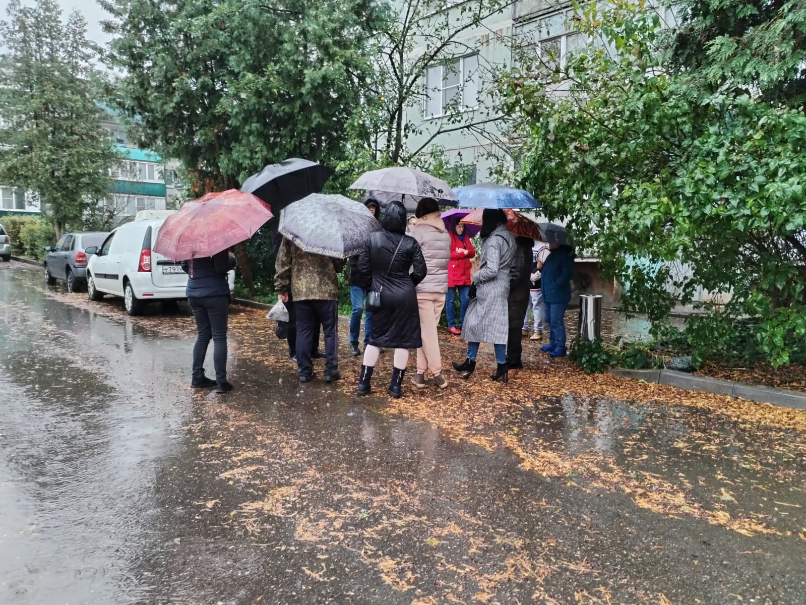 Подвал-бомбоубежище в с. Ельдигино г.о. Пушкинский утопает в канализационных сливах